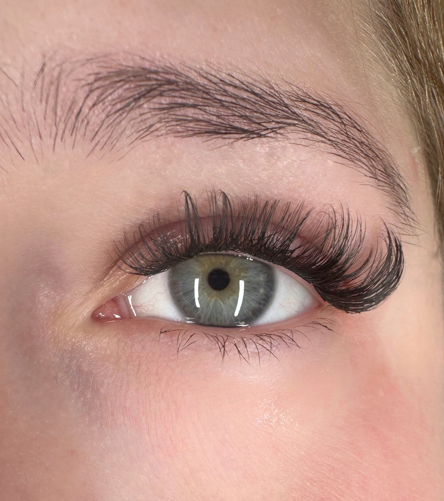 Sprinkle Dream β Starter Set