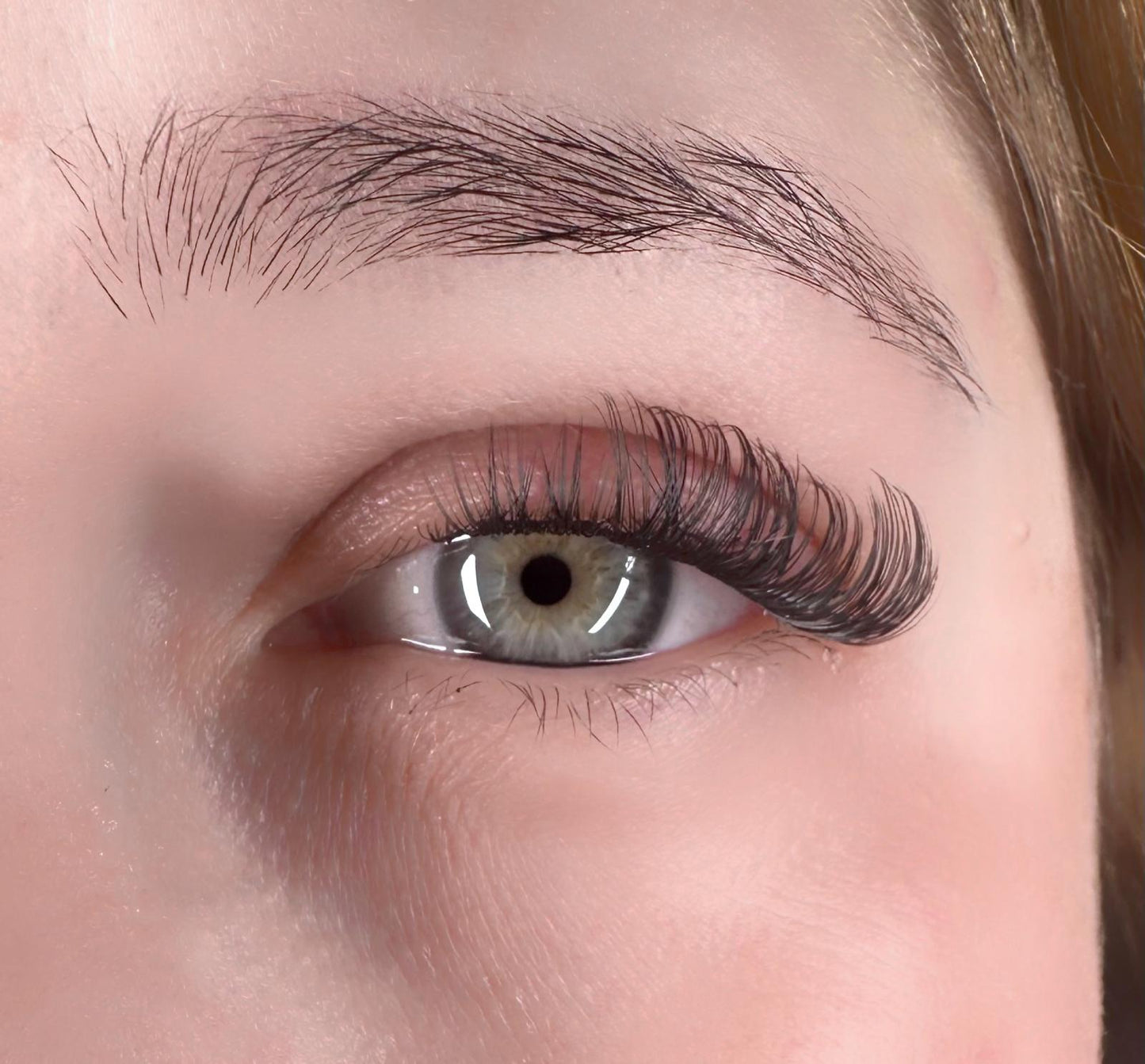 Bubblegum Blush - Light Volume