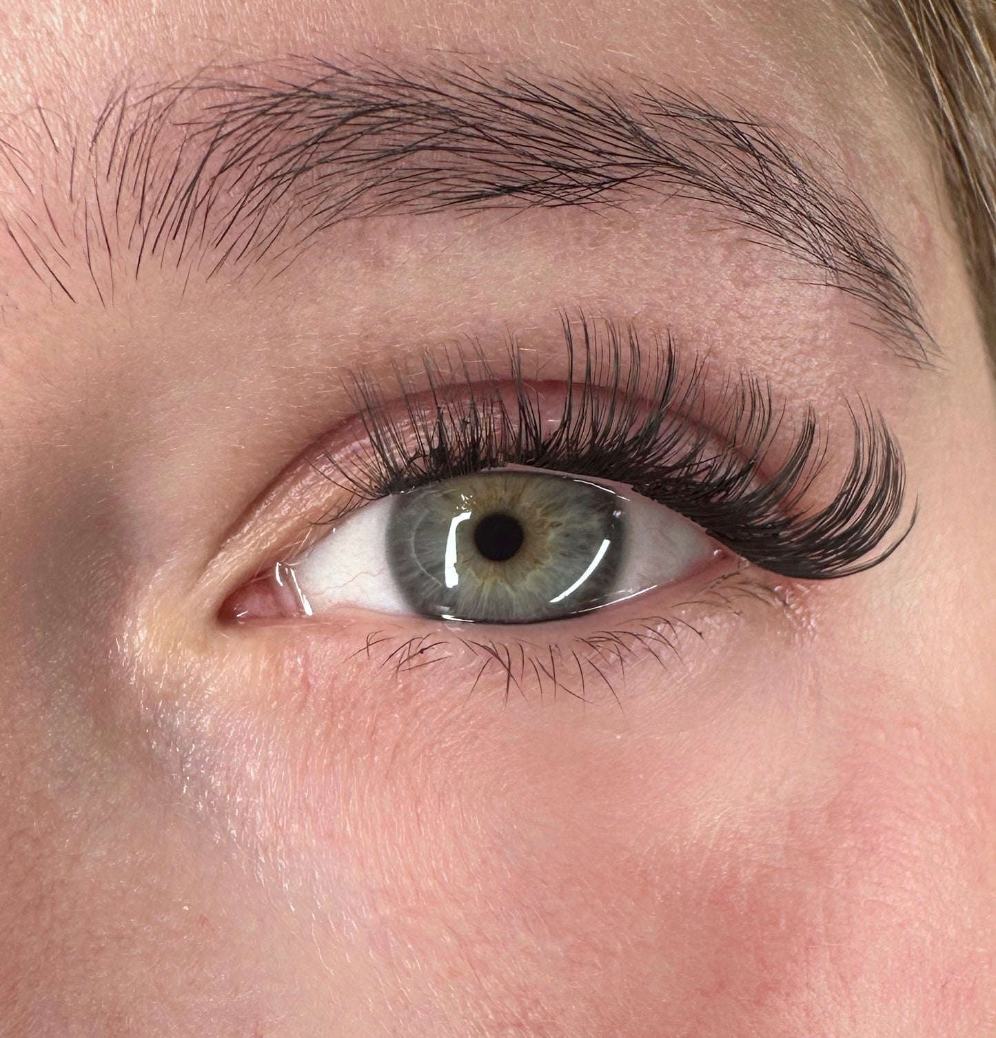 Lush Volume - Volume